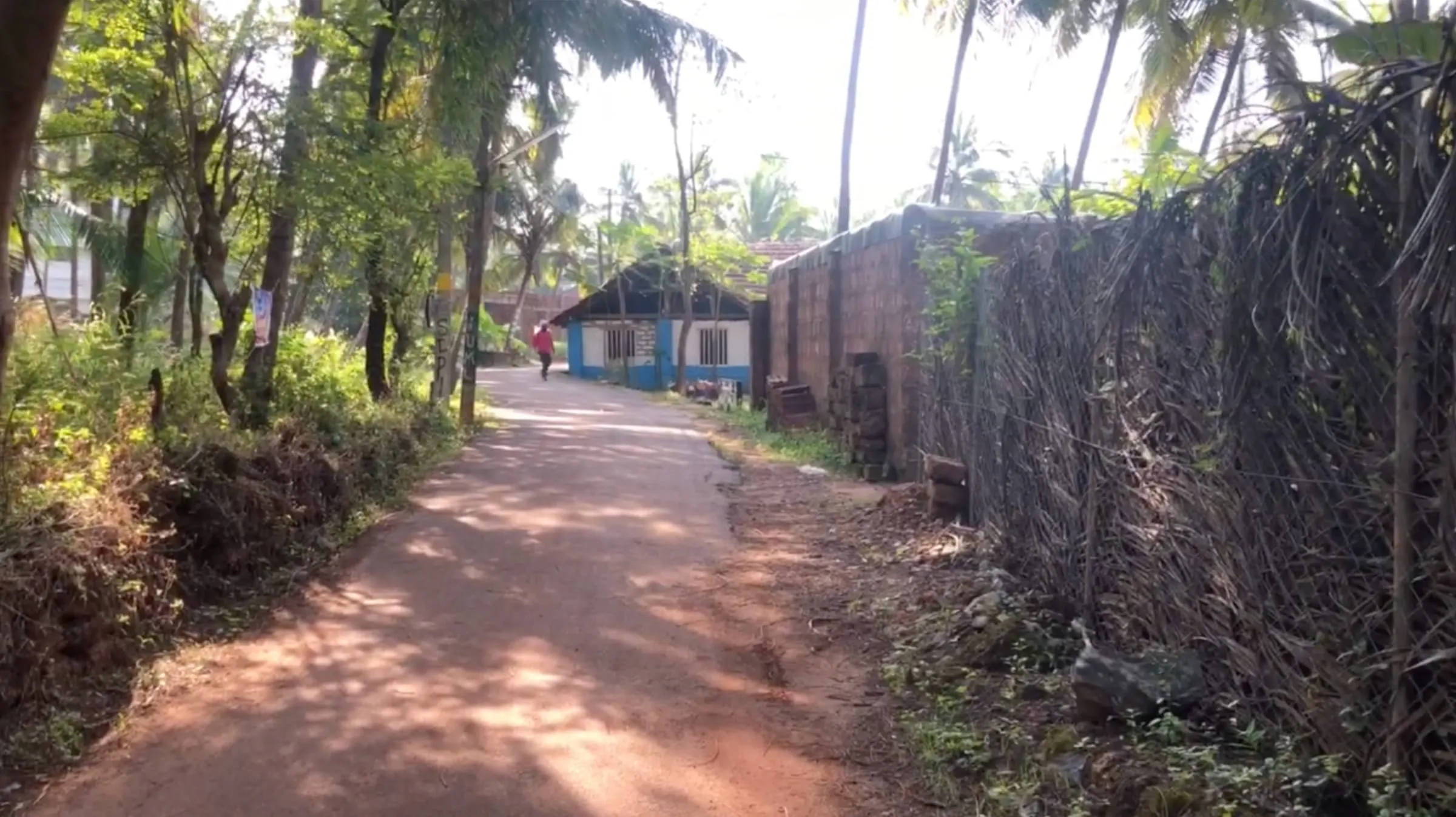 A narrow lane in Kannur, with palm trees and a blue-and-white house at the end